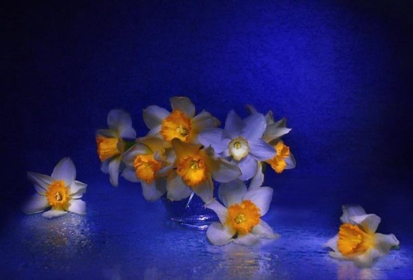 Нежной весенней ночи