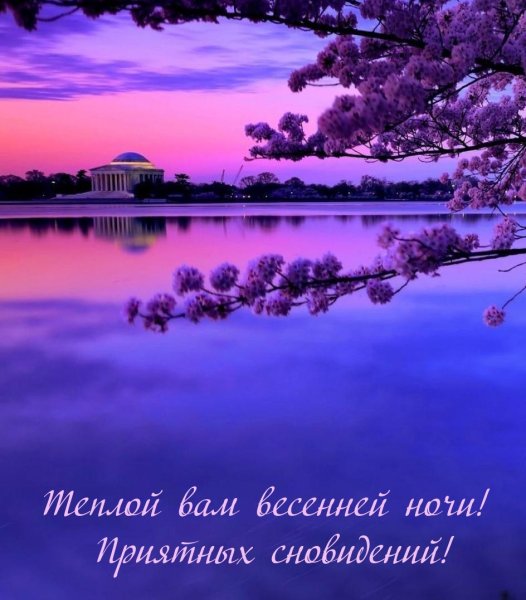 Спокойной ночи Весна