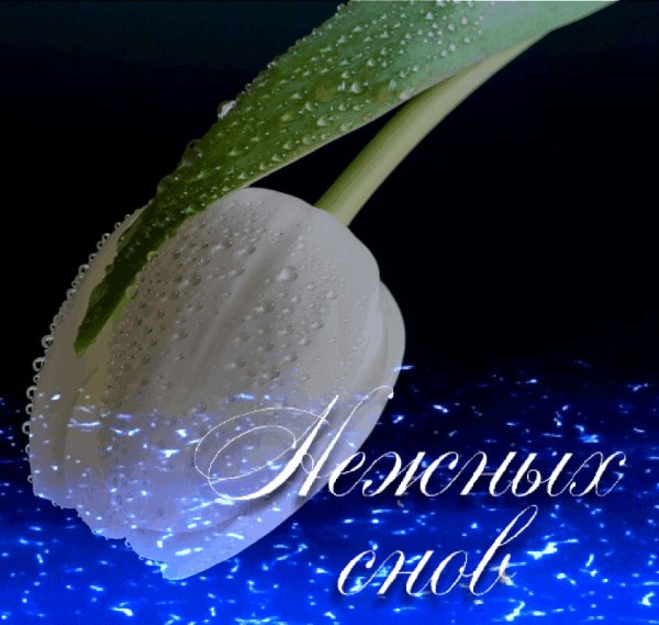 Доброй весенней ночи