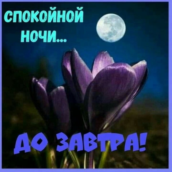 Спокойной весенней ночи