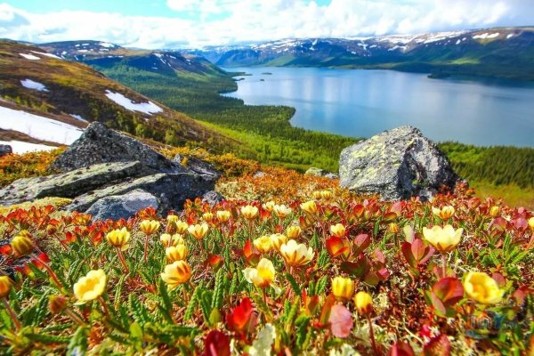 Мурманск природа Кольский полуостров