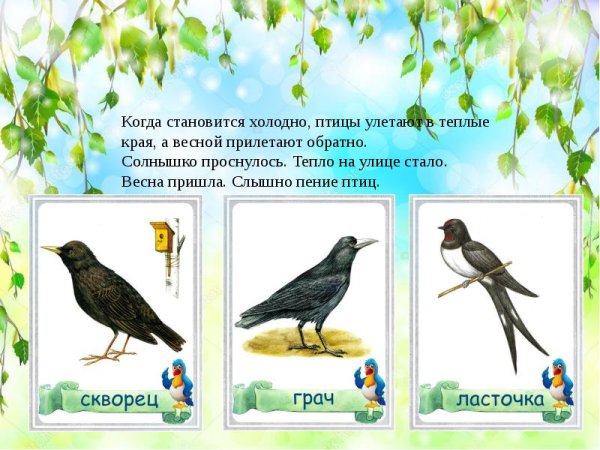 Перелетные птицы Весна для дошкольников