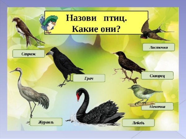 Перелетные птицы Грач журавль скворец Ласточка