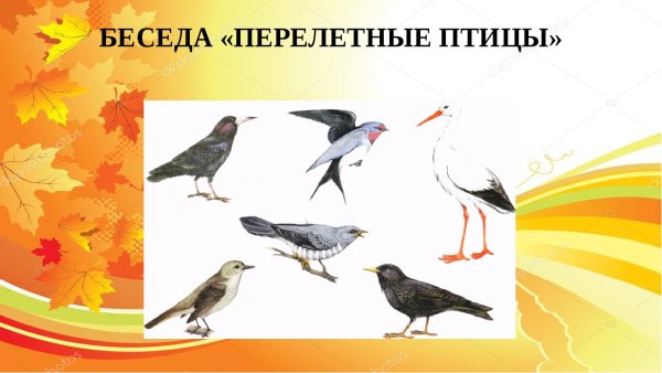 Перелетные птицы для детского сада