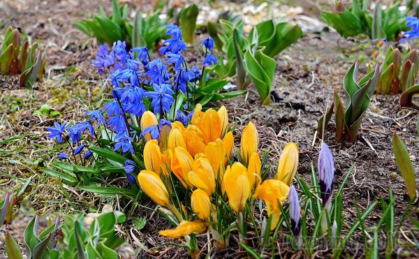 Весна в Беларуси