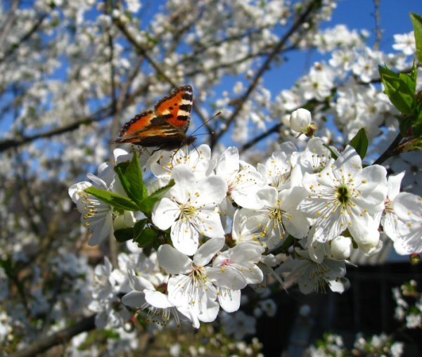 Беларусь весной