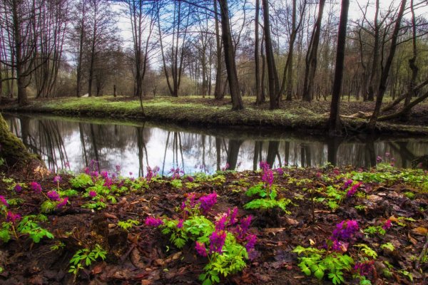 Природа ранней весной
