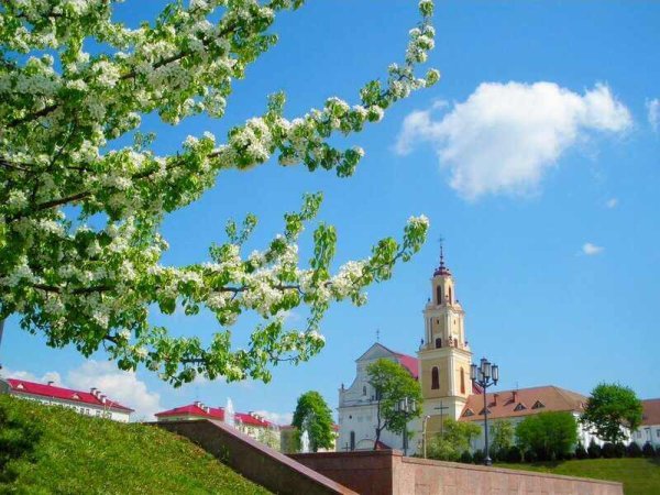 Апрельское утро природа