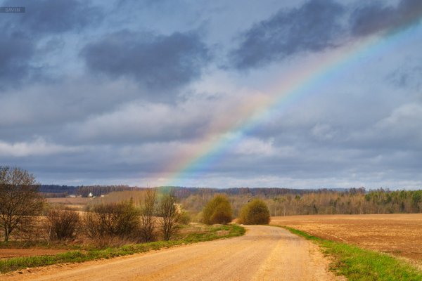 Беларусь в апреле