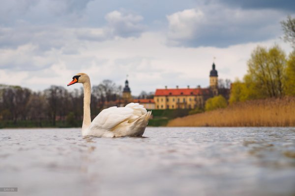 Панорама Весна Россия