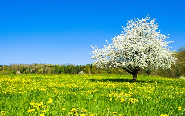 Природа водоем