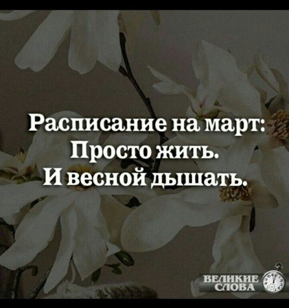 Счастье- это просто жить и весной дышать