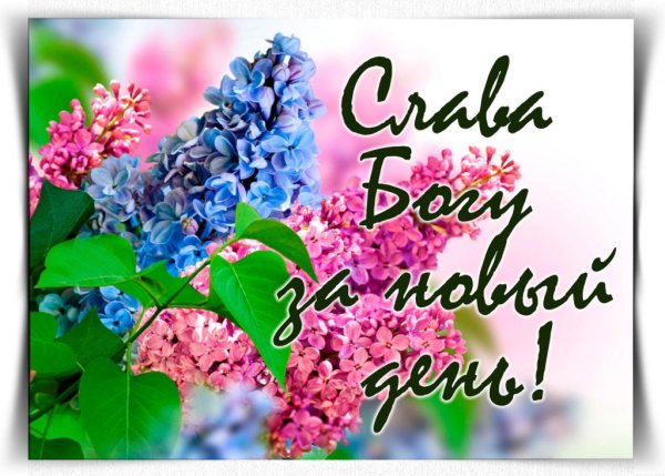 Утро начинается с улыбки