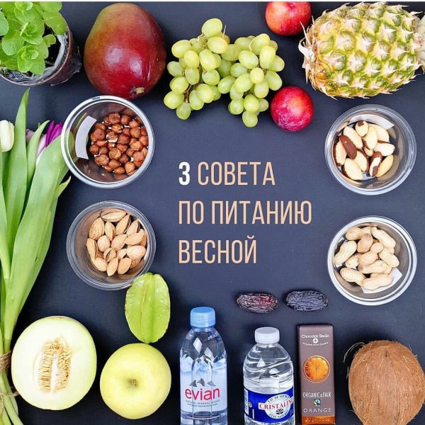 Зеленая тарелка с едой