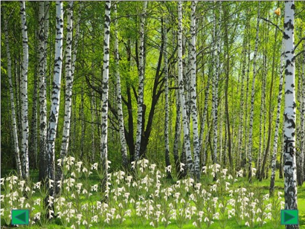 Весна в лесу для детей в детском саду