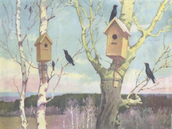 Катина скворцы прилетели