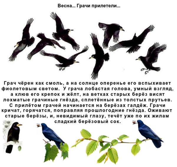 Весна скворечник скворец