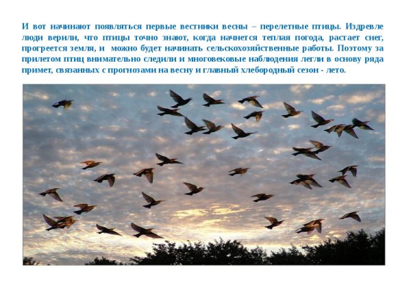 Прилет птиц весной