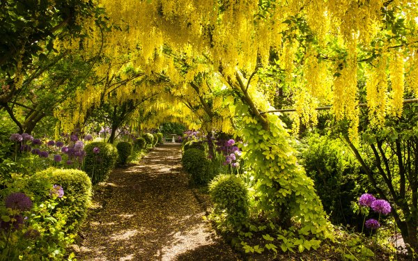 Весенний сад (Spring Topiary Garden)