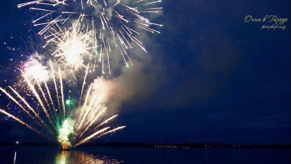 Цветы весенний фейерверк