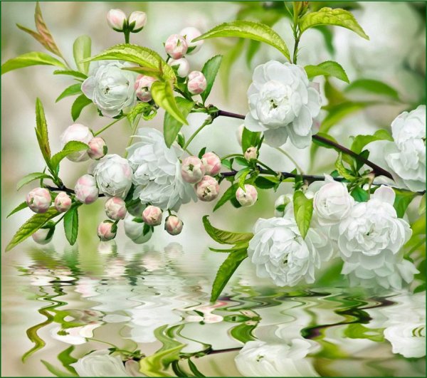 Дыхание весны