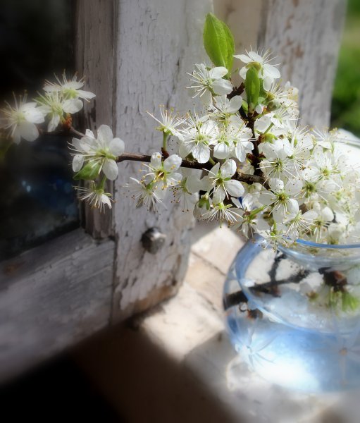 Дышит Весна