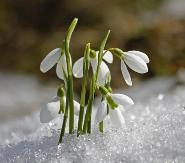 Девушка ждет весну