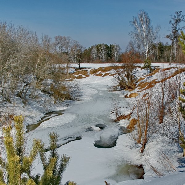 Весна капель