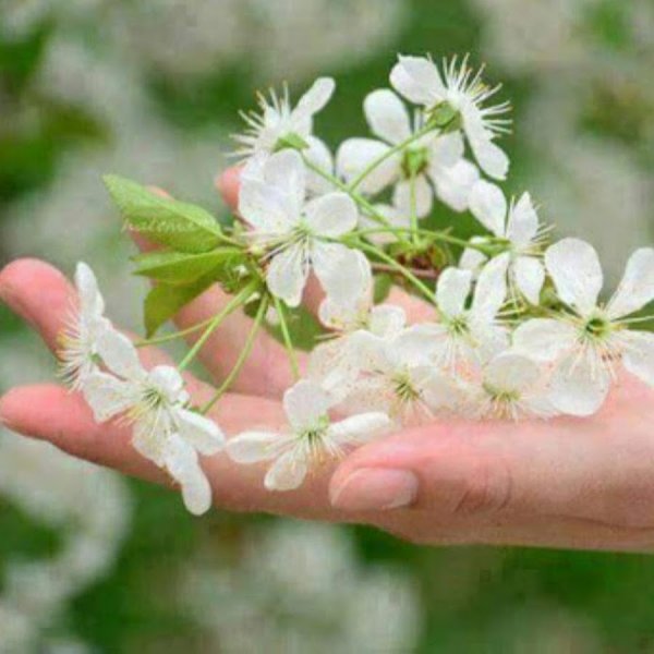 Чувствуется приближение весны