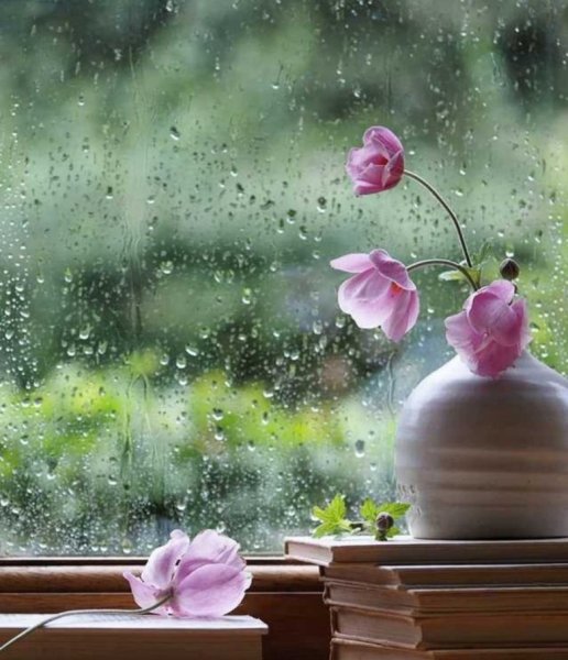 Цветы дождя