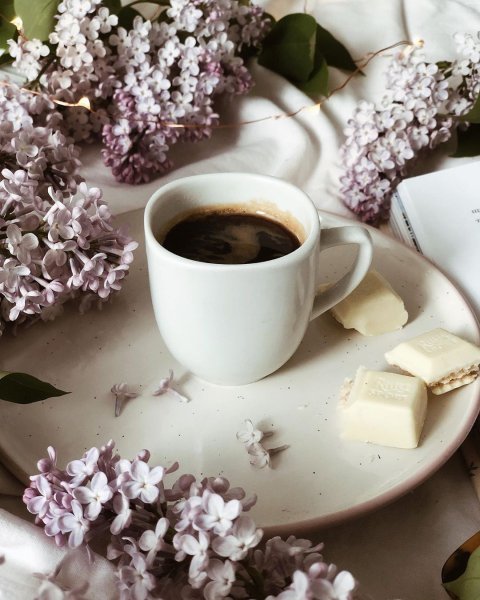 Веселое Весеннее утро