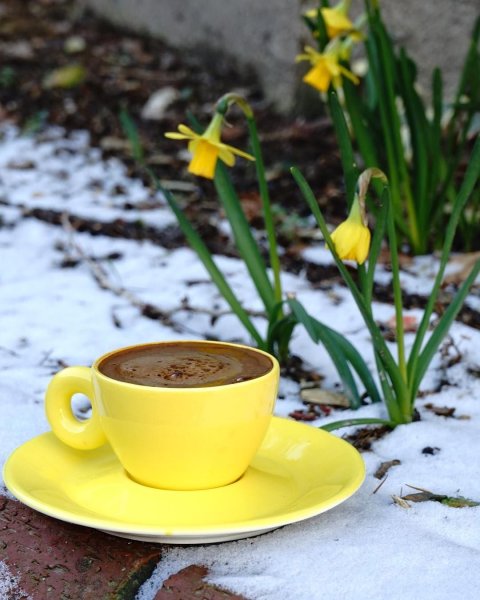 Весеннее утро и кофе