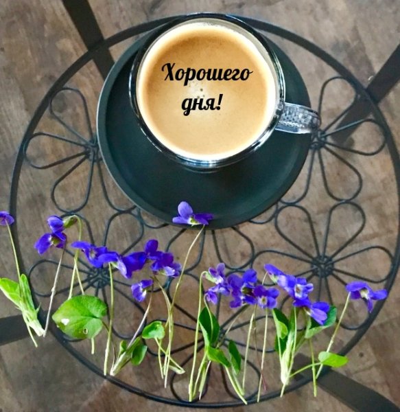 Доброе утро стильные