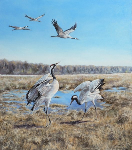 Пейзаж с журавлями