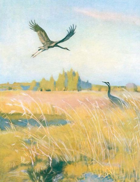 Улетают Журавли и. с. Соколов—Микитов иллюстрации