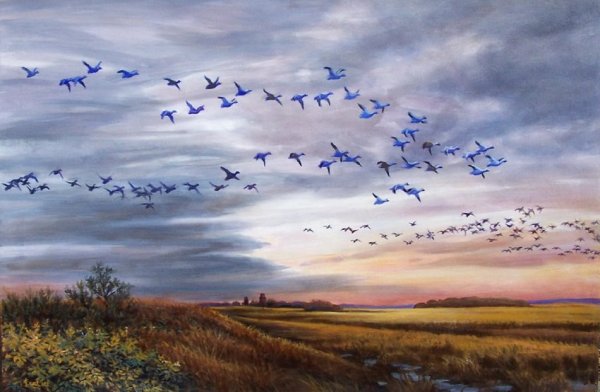 Караван журавлей журавлиный Караван