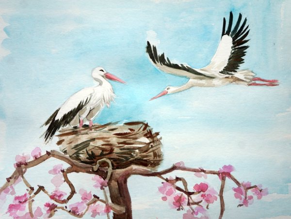 Аист рисунок