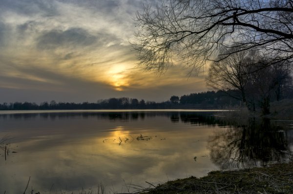 Весенний вечер природа