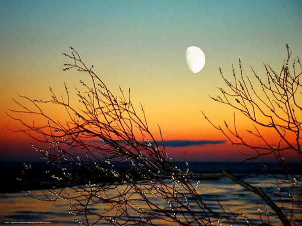 Весенний рассвет