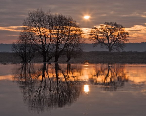 Ранний вечер