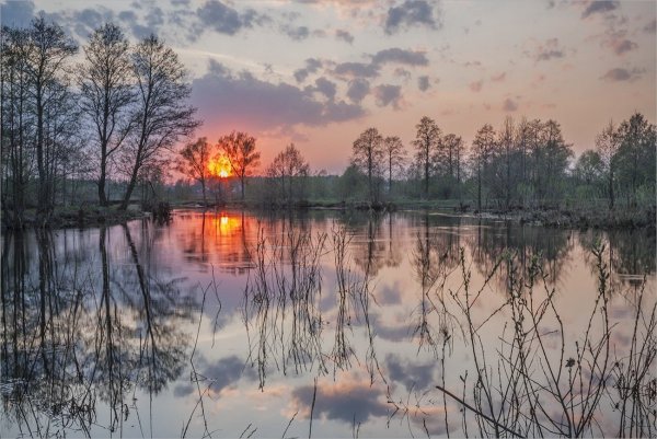 Весенний вечер