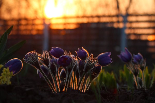 Весенний вечер