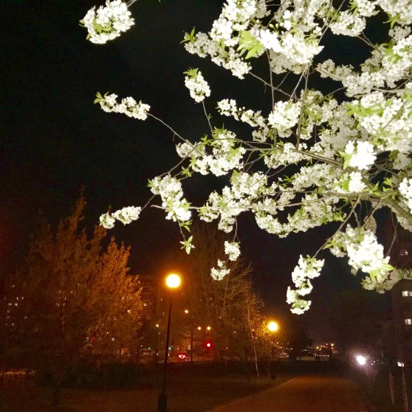 Прекрасного весеннего вечера