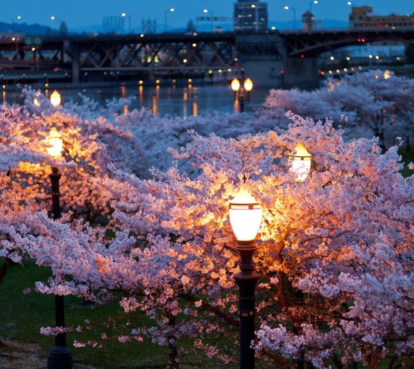 Весенний вечер