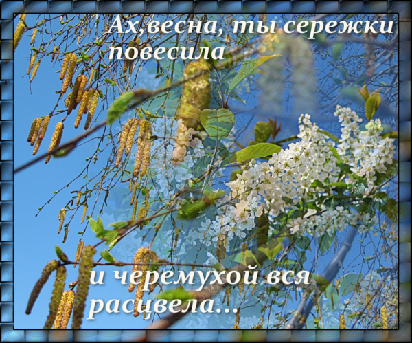 С первой пятницей весны