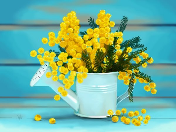 Мимоза цветок