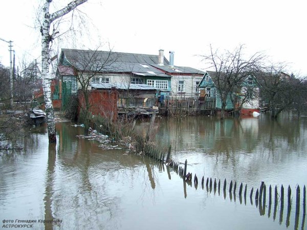 Курск разлив реки Тускарь