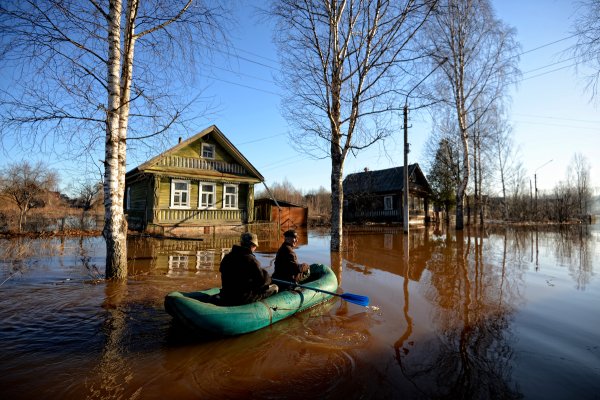 Новогородская область