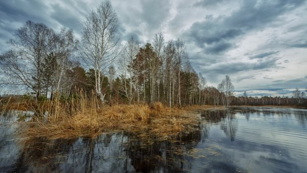 Реки с весенним половодьем