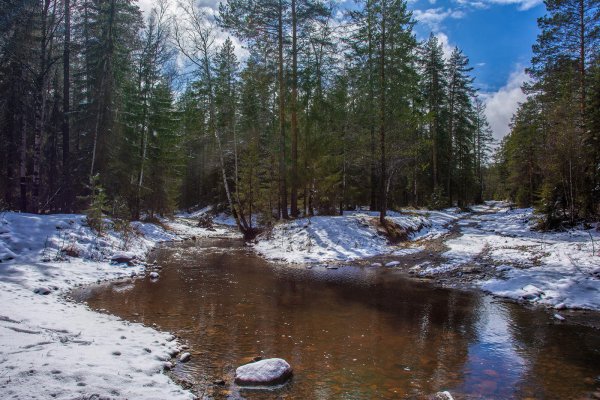Весеннее половодье